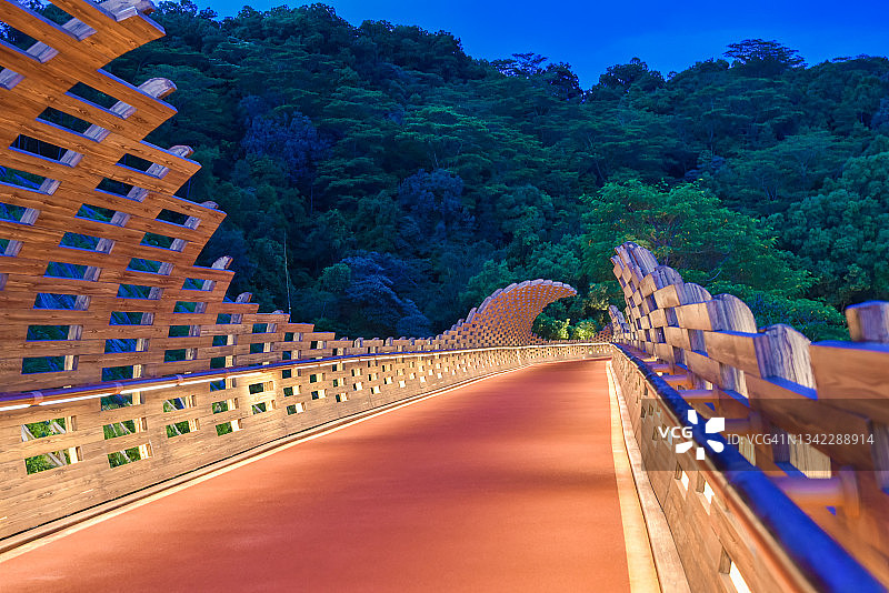 中国广东省江门市江海区白水带公园的步行桥夜景图片素材