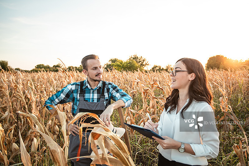 农民与女商人在玉米地里交谈图片素材