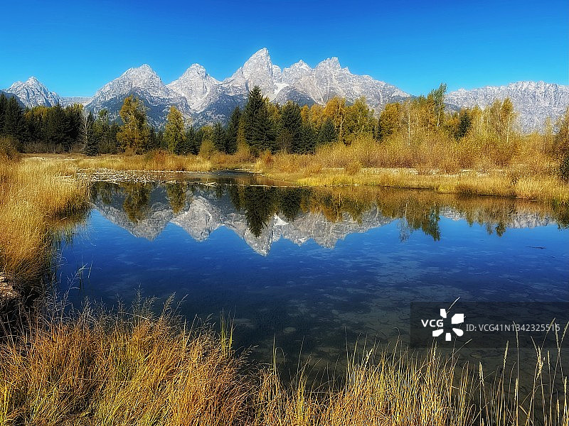 美国怀俄明州的秋日金色图片素材