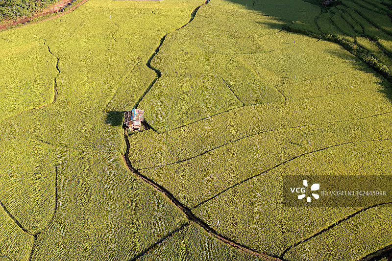 泰国楠府博克勒班文的梯田和清晨的薄雾图片素材