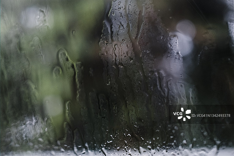 雨滴落在玻璃窗上，背景是茂盛的树叶图片素材