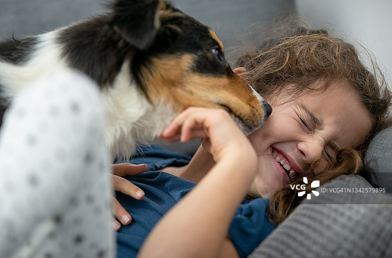 女孩被她的狗亲吻图片素材
