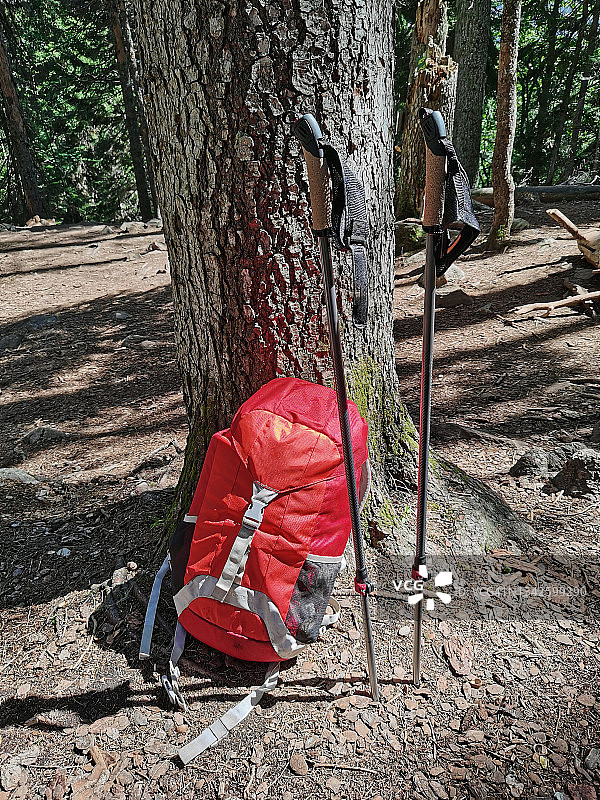 树旁带着登山杖的旅行背包图片素材