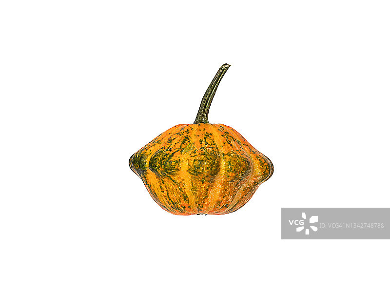 白色背景下的笋瓜图片素材