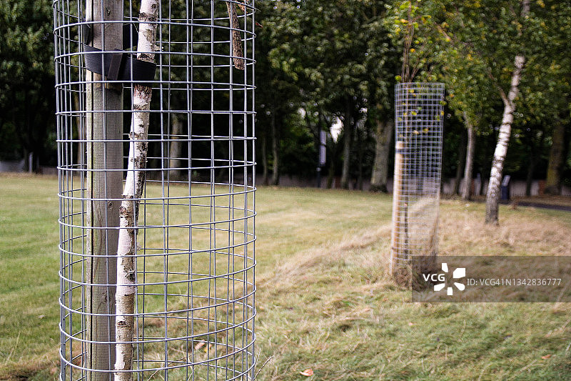 树木保护图片素材