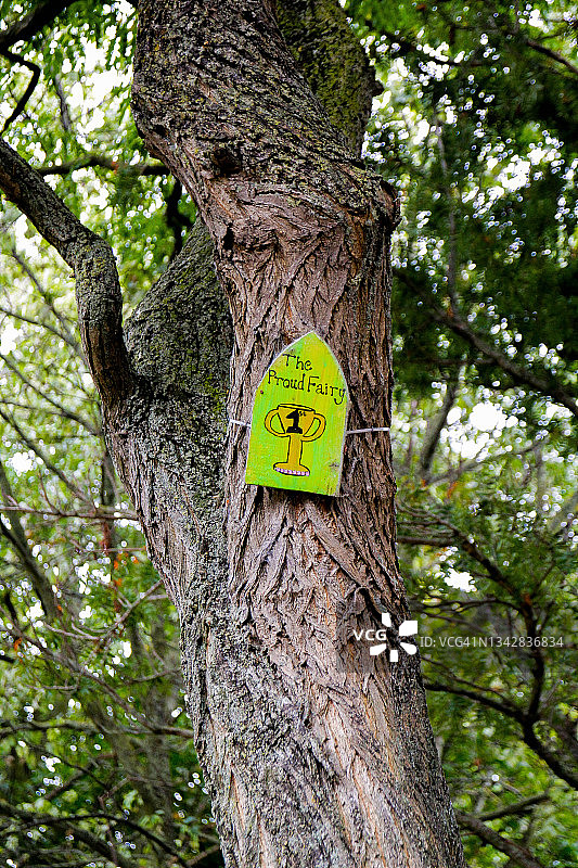 梦幻树图片素材