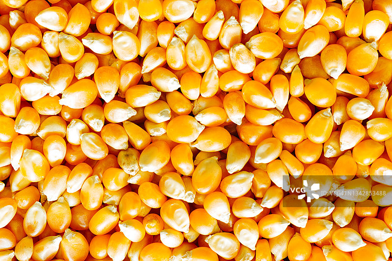 制作爆米花的生玉米粒特写图片素材