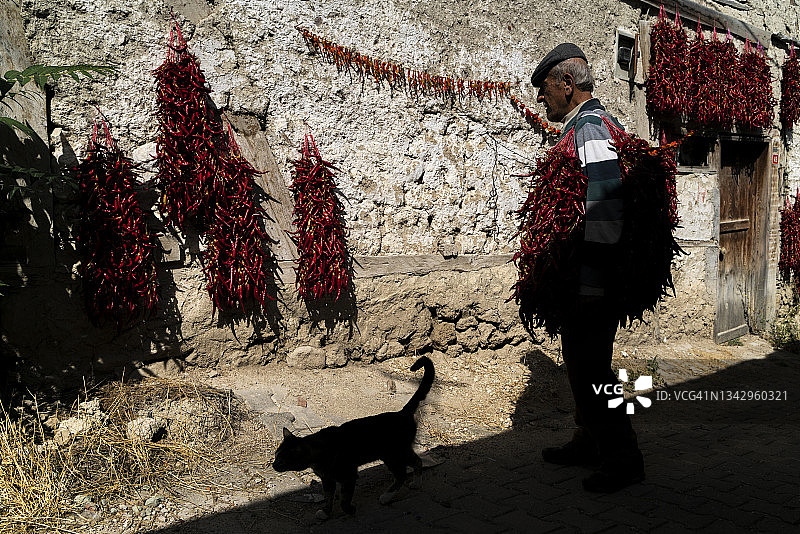 阳光下晒红辣椒图片素材