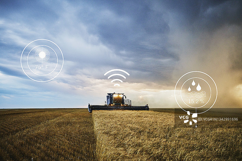 联合收割机收割麦田与暴风云背景远景图片素材