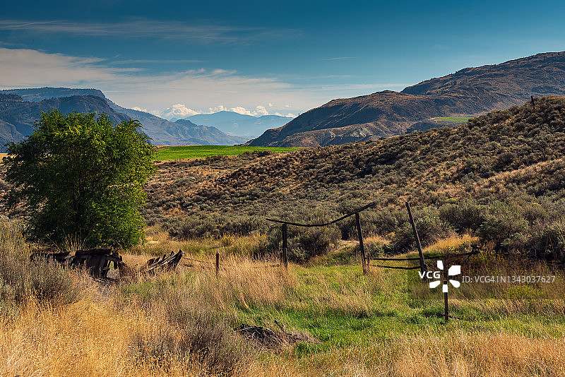 山艾蒿和绵延的丘陵图片素材