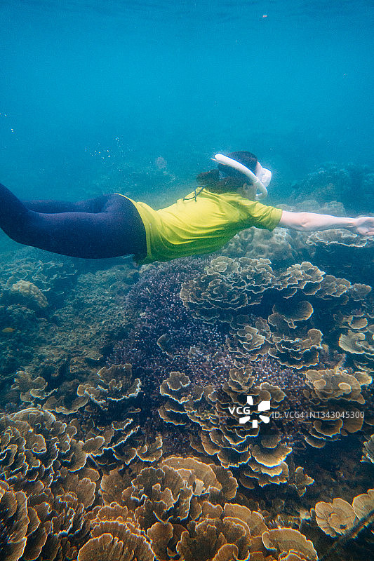 在日本奄美群岛喜界岛的原始珊瑚礁上浮潜图片素材