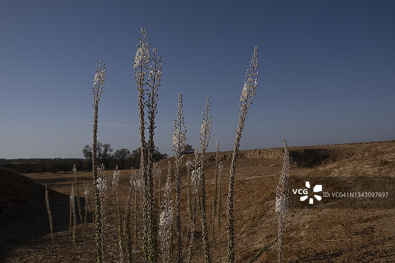 以色列-加沙边界图片素材