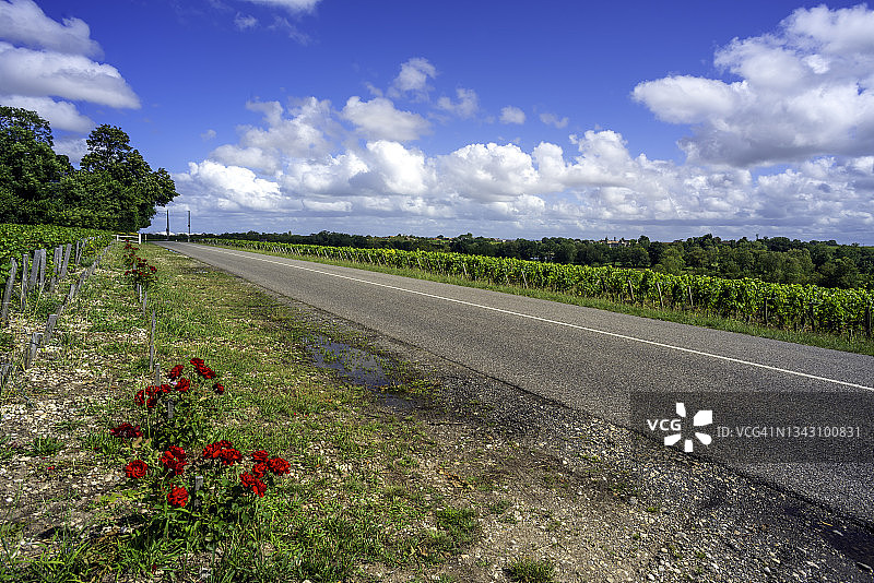 梅多克葡萄酒之路D2，穿过波亚克葡萄园图片素材