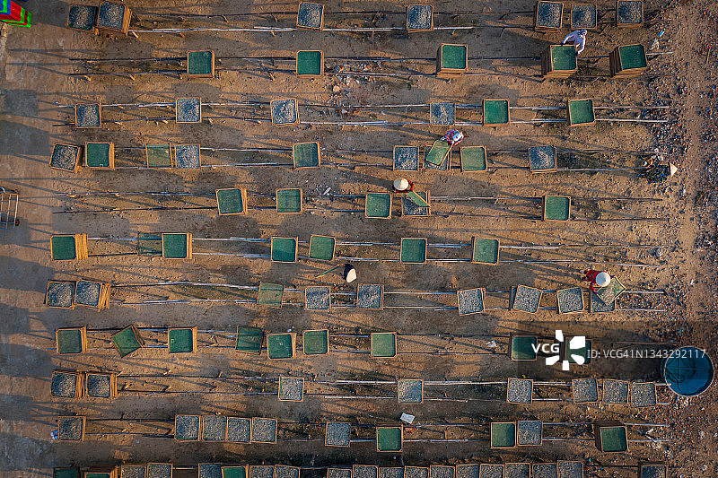 正在晾晒的蒸凤尾鱼图片素材