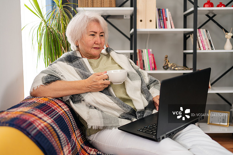 在家用笔记本电脑交谈的老年妇女图片素材
