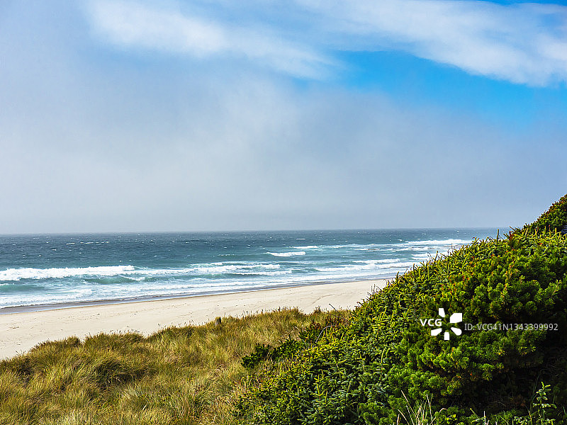 美丽的海滩日图片素材