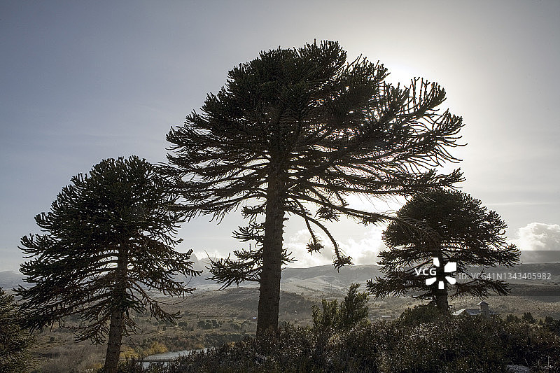 拉宁自然公园图片素材