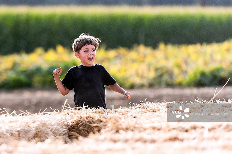 小男孩在南瓜地里玩干草堆图片素材