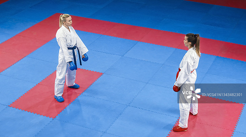 在榻榻米上对峙的空手道女选手图片素材