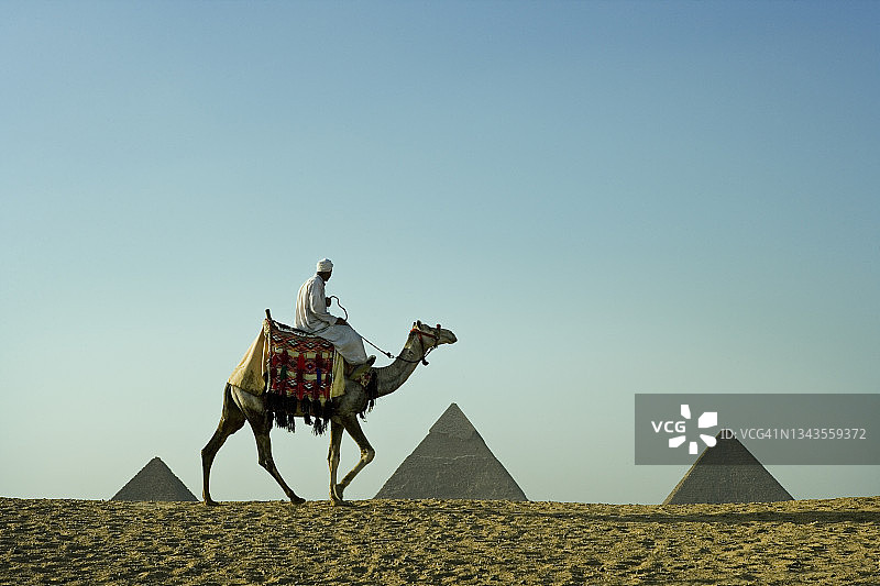 金字塔前的骆驼骑手图片素材