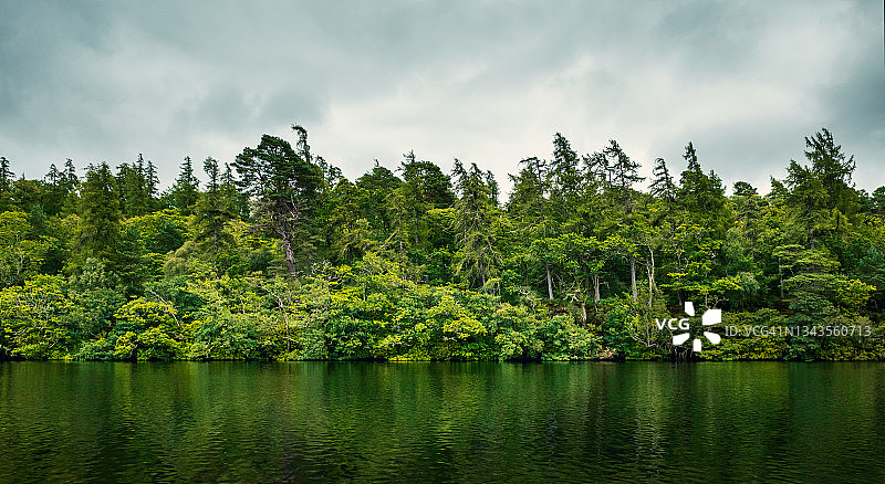 绿树成荫的河流图片素材