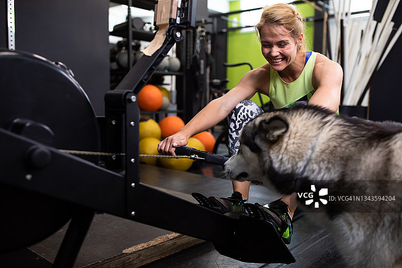 宠物友好图片素材