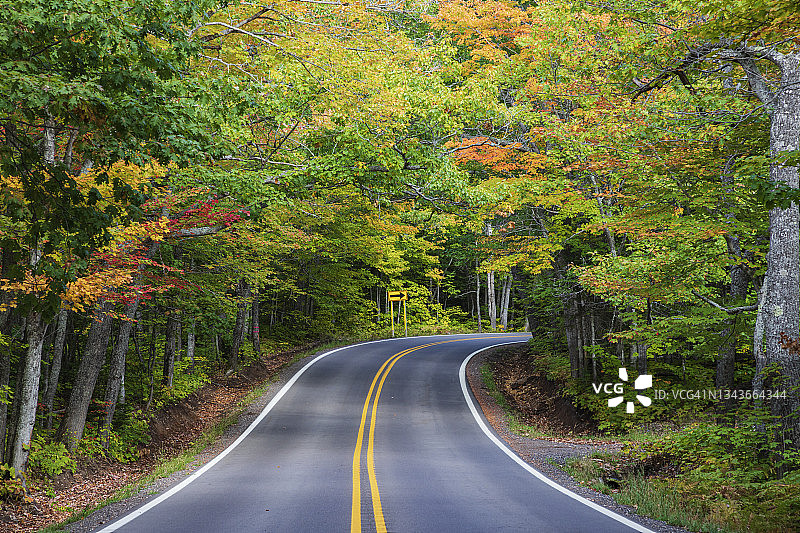 基威诺半岛US 41号公路的林荫路图片素材