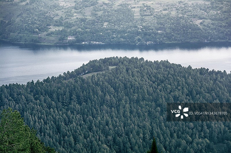 多巴湖松树林航拍图片素材