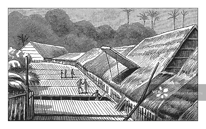 马来文化 - 加里曼丹岛达雅克村庄的古版画插图图片素材