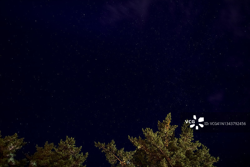 4K延时拍摄日本山梨县森林树梢上的星星图片素材