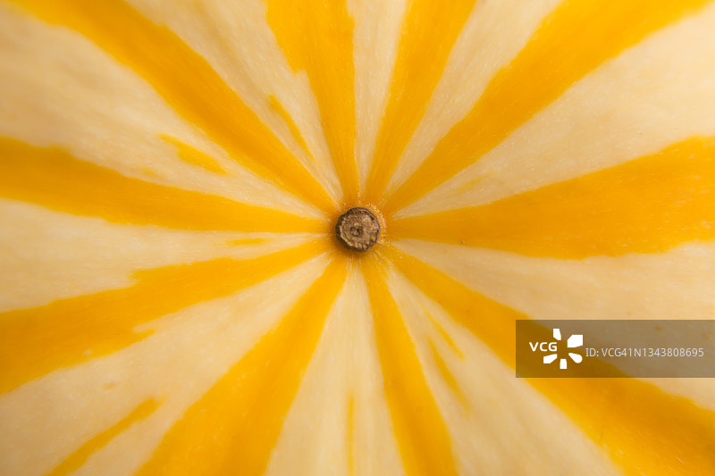 南瓜特写图片素材