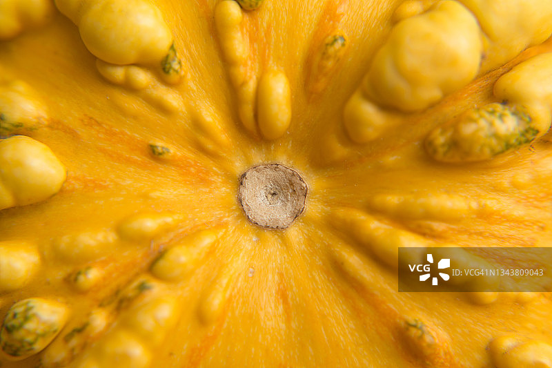 南瓜特写图片素材