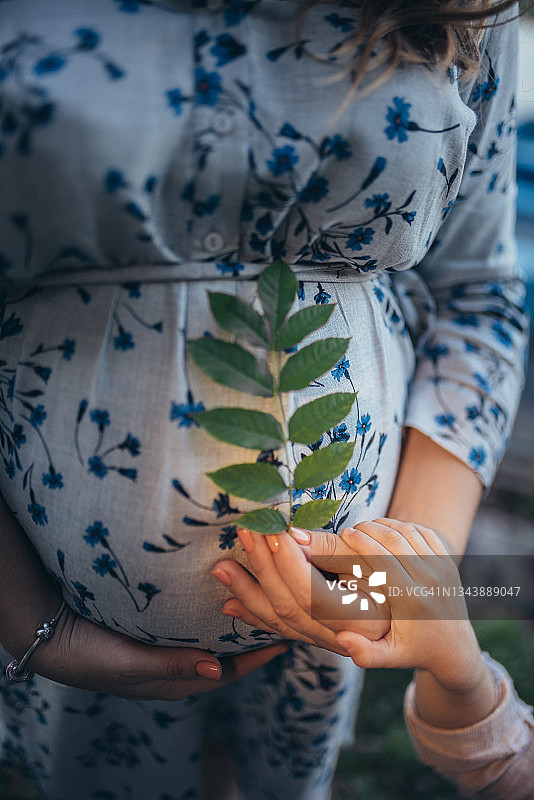 孕妇手拿树叶，与婴儿的手图片素材