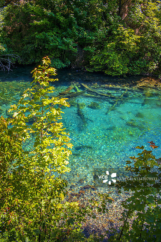 阿根廷巴塔哥尼亚科连托索河，纳韦尔瓦皮国家公园图片素材
