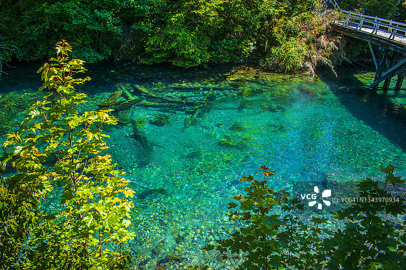 阿根廷巴塔哥尼亚科连托索河，纳韦尔瓦皮国家公园图片素材