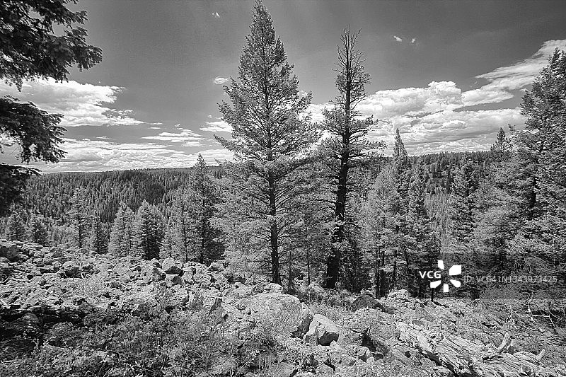 爱达荷州卡里布-塔吉国家森林图片素材