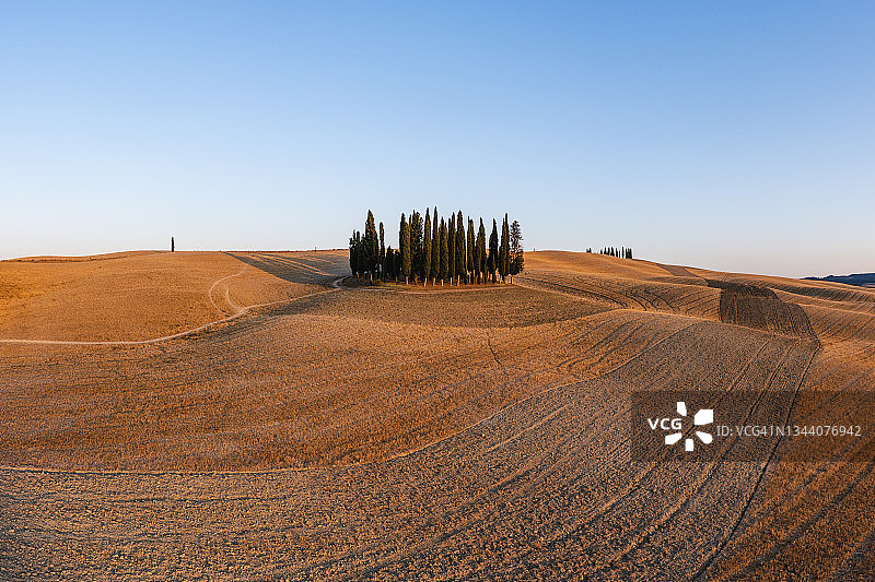 意大利托斯卡纳著名的柏树林图片素材
