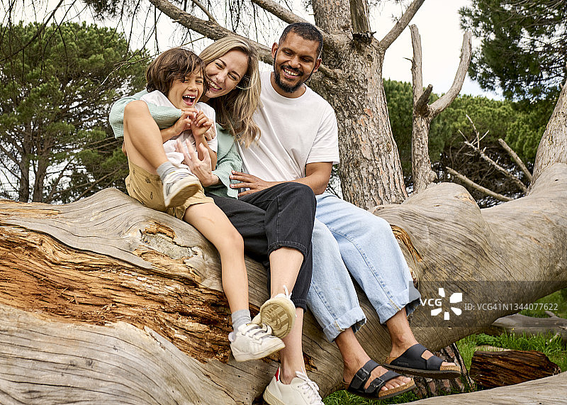 年轻家庭坐在倒下的树上玩耍的户外照片图片素材