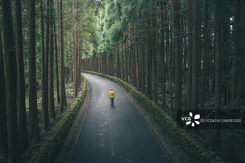 行人走在森林道路上图片素材