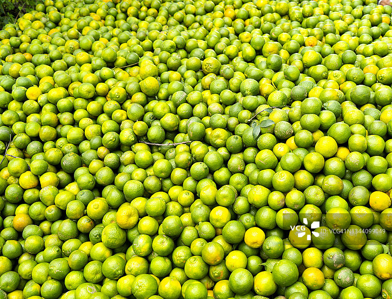 农场里的橙子堆图片素材