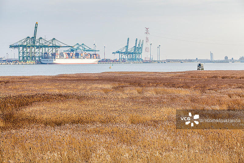 在安特卫普港装载的货船图片素材