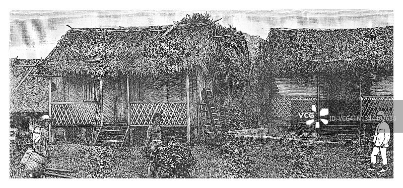 新几内亚俾斯麦群岛布兰奇湾农舍老插画图片素材