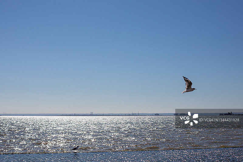 英格兰东南部海边风光图片素材