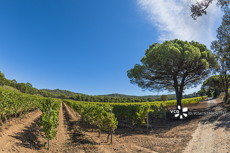 波克罗勒岛图片素材