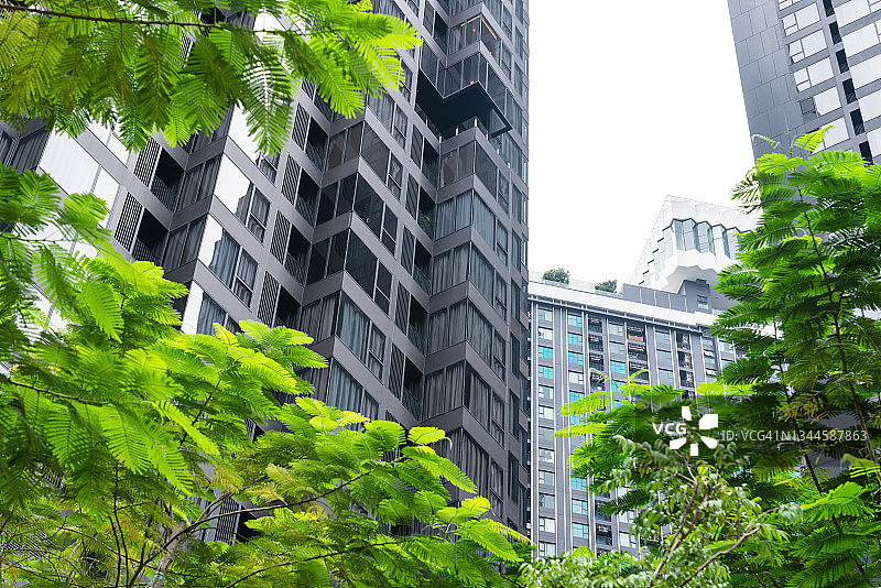 商业区摩天大楼，带树木的办公楼图片素材