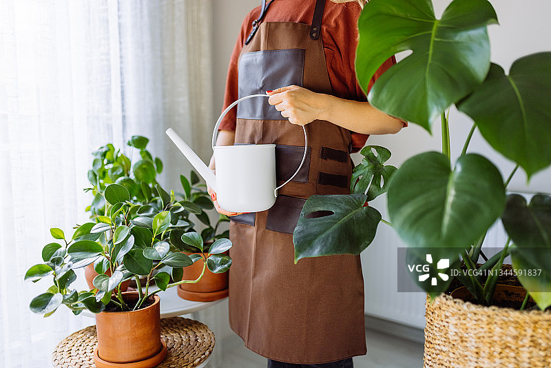 可爱的家庭主妇带着花盆里的花和园艺用具图片素材