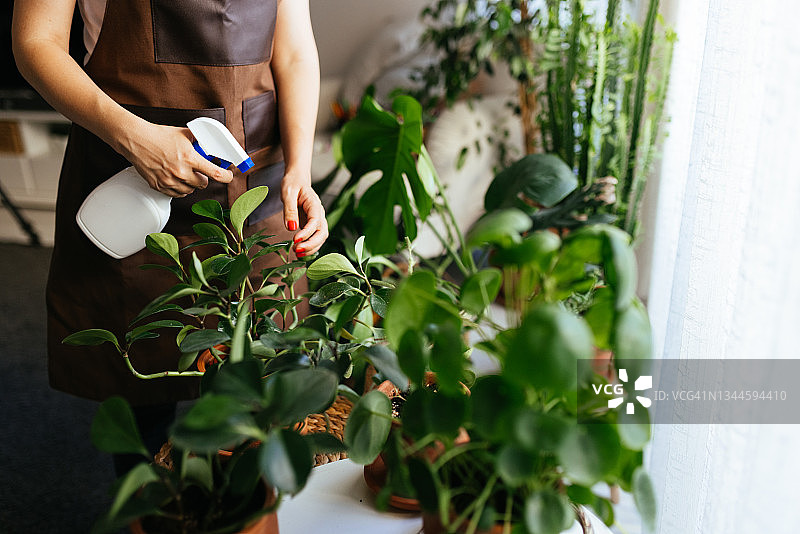 可爱的家庭主妇带着花盆里的花和园艺用具图片素材