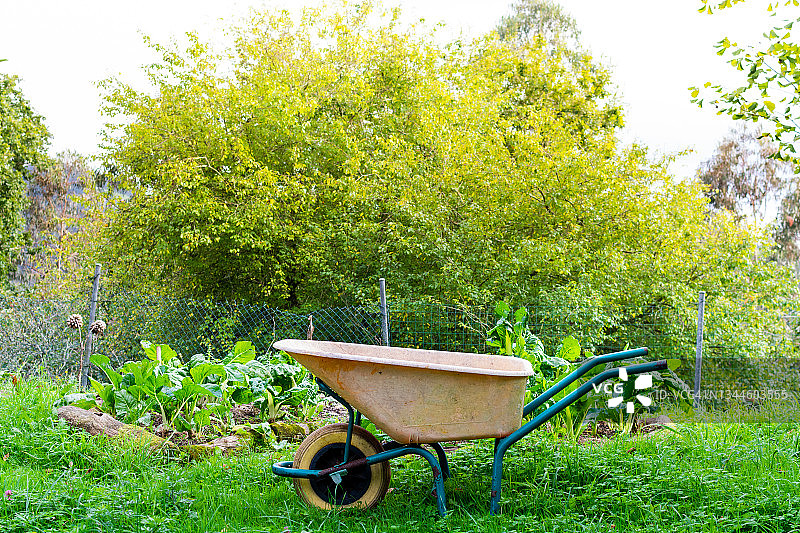 小菜园前的黄色手推车图片素材