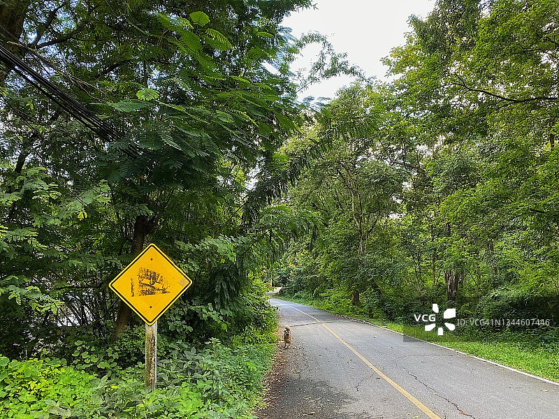 通往泰国清迈素贴山的道路图片素材