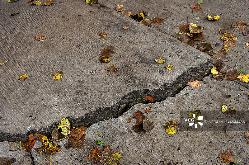 带有秋叶的开裂混凝土人行道图片素材